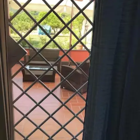 Aura 托雷德尔格雷科